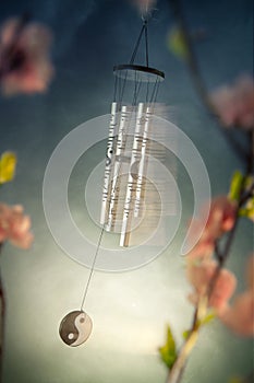 Chinese wind chimes with sakura flowers