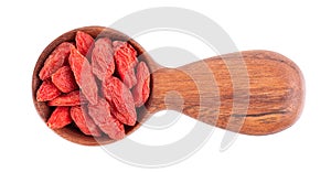 Chinese wolfberries in wooden spoon, isolated on white background. Heap of dried goji berry. Top view.