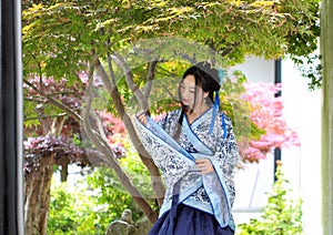 Chinese woman in traditional Blue and white Hanfu dress Stand under the maple tree