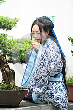 Chinese woman in traditional Blue and white Hanfu dress Standing next to bonsai
