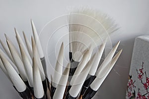 Chinese writing brush