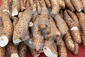 Chinese yam photo