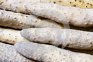 Chinese yam