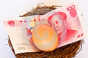 Chinese yuan or renminbi in a bird`s nest with an egg.