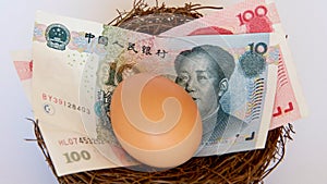 Chinese yuan or renminbi in a bird`s nest with an egg.