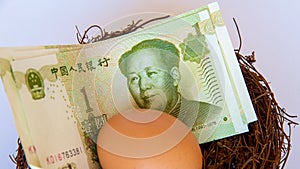 Chinese yuan or renminbi in a bird`s nest with an egg.