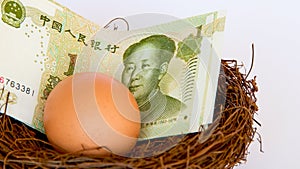 Chinese yuan or renminbi in a bird`s nest with an egg.