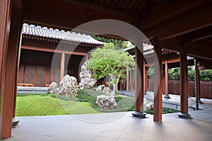 Chinese Zen garden