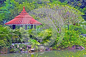 Chinese zen garden