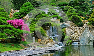 Chinese zen garden with water fall and cascade plants