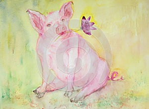 Chinese zodiac, oilpainting of a pig with lotus flower.