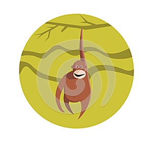 Chinese zodiac sign Monkey vector horoscope icon or symbol