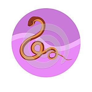 Chinese zodiac sign Snake vector horoscope icon or symbol