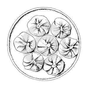 Chinesse Food with Stream Pork Dumpling