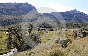 Chingaza National Park Mountain Landscape photo