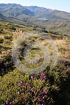 Chingaza National Park Mountain Landscape Vertical photo