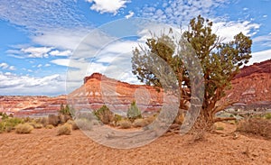 Chinle Formation desert landscape