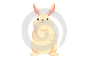 Chinnese Icon Rabbit