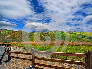 Chino Hills, Ca. State Park spring wildflower fields landscape