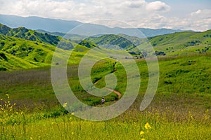 Chino Hills view in spring time