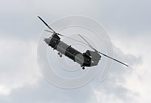 Chinook