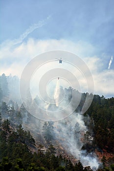 Chinook Firefighting Helicopter Drops Water on a Forest Fire in
