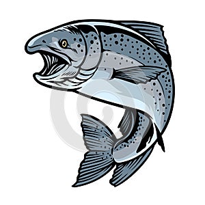 Chinook salmon fish in hand drawn style