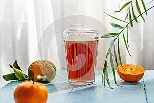 Chinotto refreshing citrus drink with fruits, palm branch on blue wooden table with white curtains as background