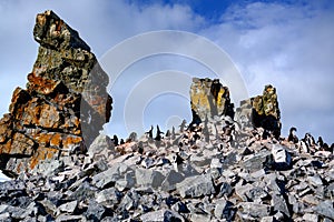 Chinstrap Penguins standing on bizarrely shaped stone hill, stone desert at Halfmoon Island, Antarctica