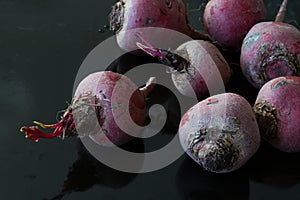 Chioggia beet