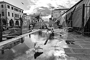 Chioggia, Venice, Italy: landscape of the old town and the canal with fishing boats and ancient buildings. Black And White Photogr