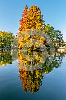 Chios Lake in the Cluj-Napoca Central Park on a beautiful autumn sunny day in Romania