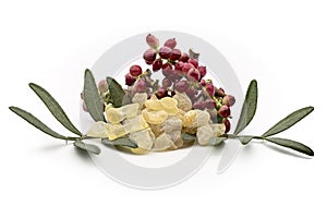 Chios mastic tears with lentisk Pistacia lentiscus leaves and fruit on a white background