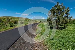Chipman Palouse Trail