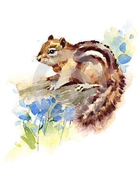 Chipmunk Blue Flowers Watercolor Wild Animal Rodent Hand Drawn Illustration isolated on white background