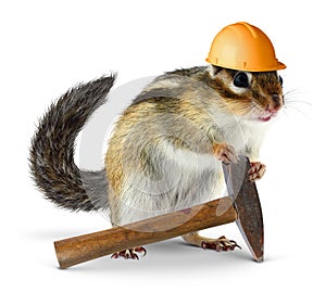 Chipmunk builder, reconstruction concept