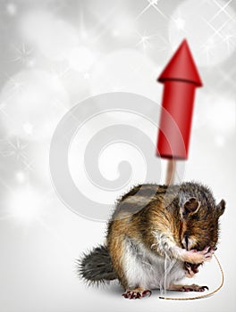 Chipmunk with fireworks, holiday background