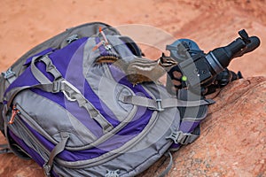 Chipmunk Looking for Snacks in a Backpack at Zion National Park