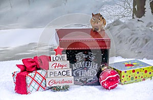Chipmunk poses in Holiday scene