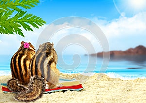 Chipmunks on the beach, honeymoon concept