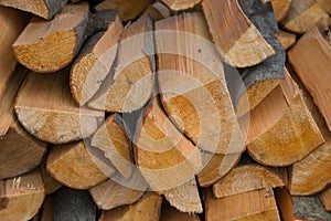Chipped firewood of different tree species