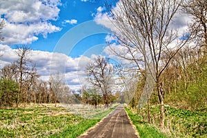 Chippewa River Trail in Spring