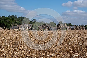 Chipping Campden, Gloucestershire, UK on the horizon. Photographed in late summer with a field of wheat in the foreground.