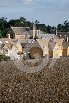 Chipping Campden, Gloucestershire, UK on the horizon. Photographed in late summer with a field of wheat in the foreground.