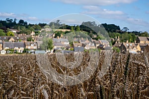 Chipping Campden, Gloucestershire, UK on the horizon. Photographed in late summer with a field of wheat in the foreground.