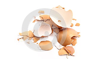 Chips of the crushed egg shell