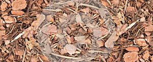 Chips of Pine Bark Background