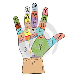 Chiromancy hand infographic. palmistry vector drawing illustration