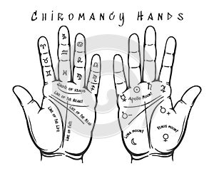 Chiromancy hands illustration