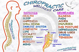Chiropractic wellness care therapy related words